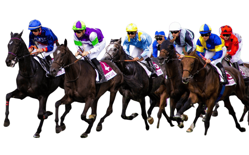 Sports betting